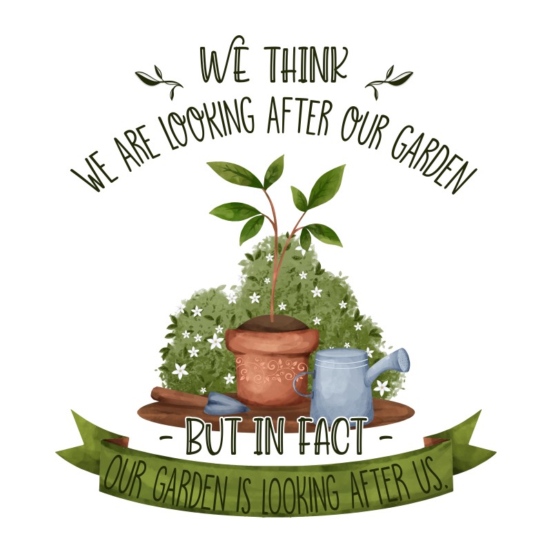 Our garden Takes care of us