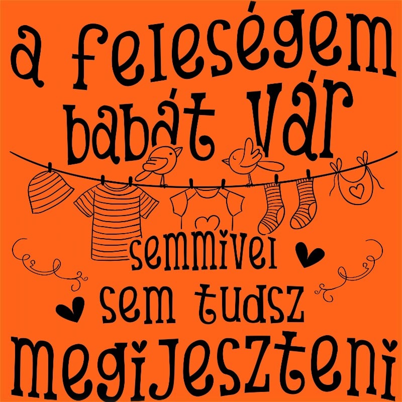 A Feleségem Babát vár