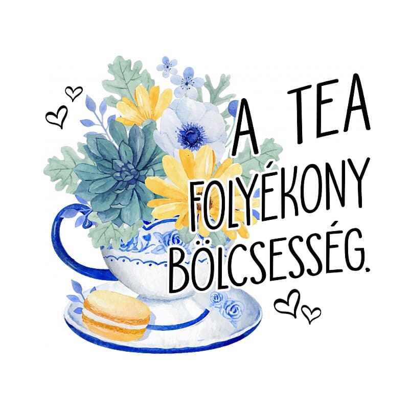 Folyékony Bölcsesség