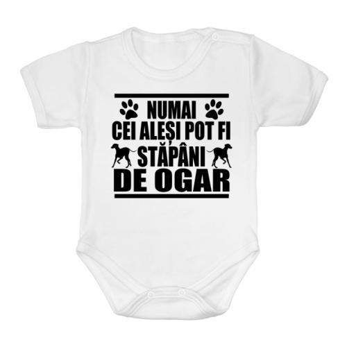 Best truckin' dad ever Póló - Ha Truck Driver rajongó ezeket a pólókat tuti imádni fogod!