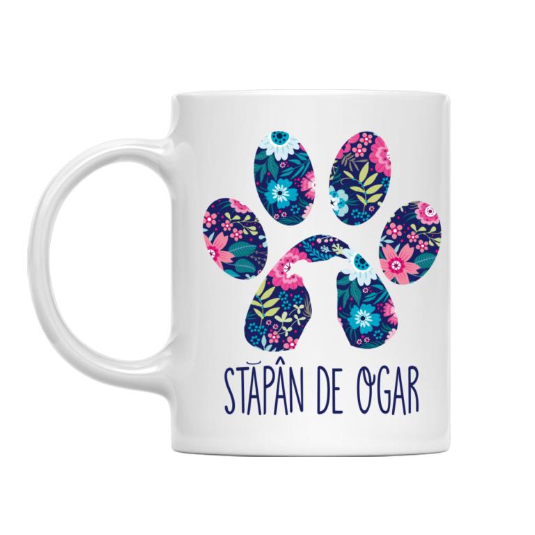 Stăpân de ogar maghiar