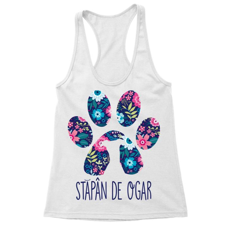 Stăpân de ogar maghiar