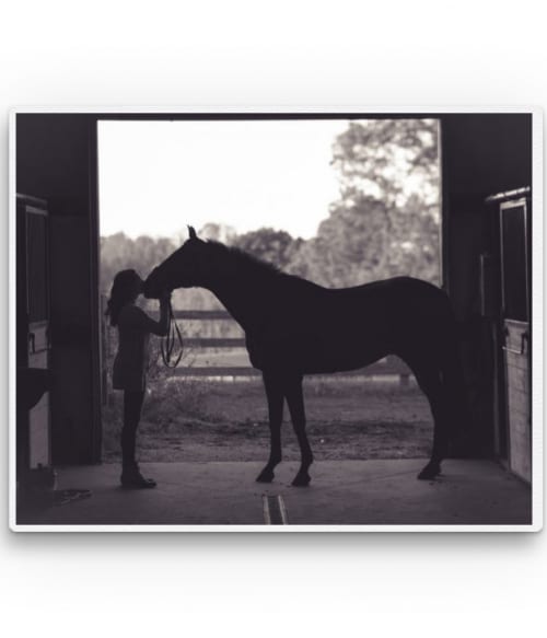 Horse silhouette Lovas Vászonkép - Lovas