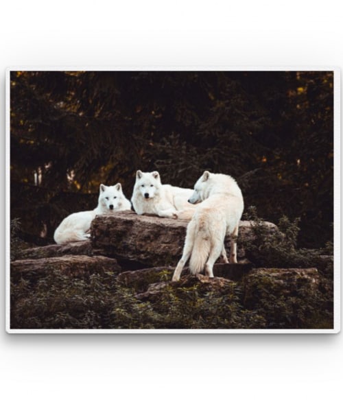 White wolves Farkasos Pólók, Pulóverek, Bögrék - Farkasos