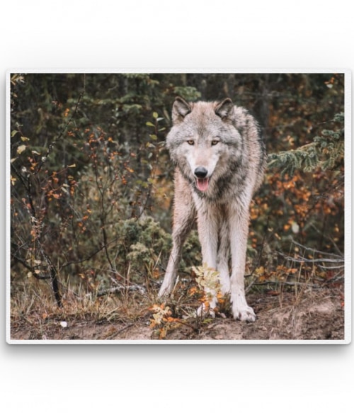 Gray wolf Farkasos Pólók, Pulóverek, Bögrék - Farkasos