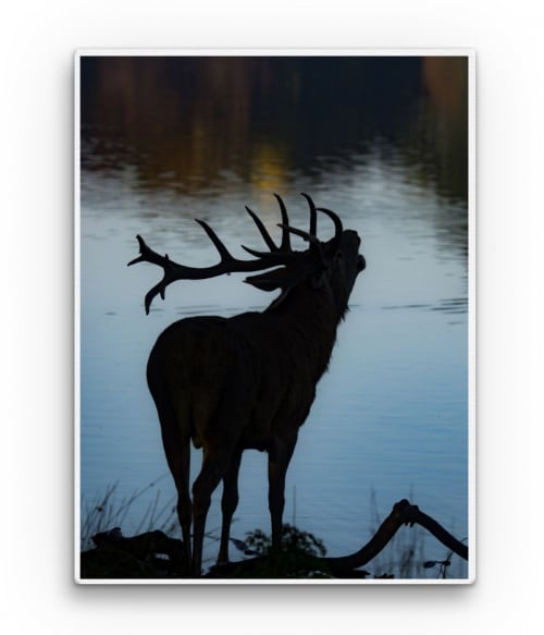 Deer silhouette Vadász Vászonkép - Vadász