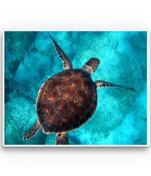 Sea turtle Állatos Állatos Állatos Pólók, Pulóverek, Bögrék - Állatos