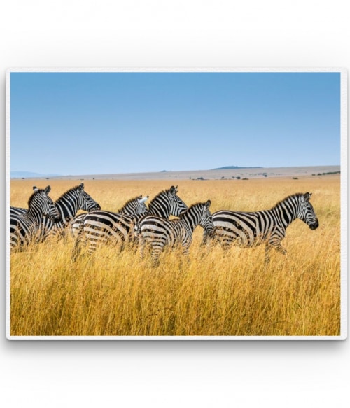 Zebras Állatos Állatos Állatos Pólók, Pulóverek, Bögrék - Állatos