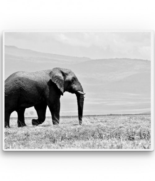 Elephant - black and white Állatos Pólók, Pulóverek, Bögrék - Állatos