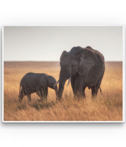 Elephant family Állatos Vászonkép - Állatos