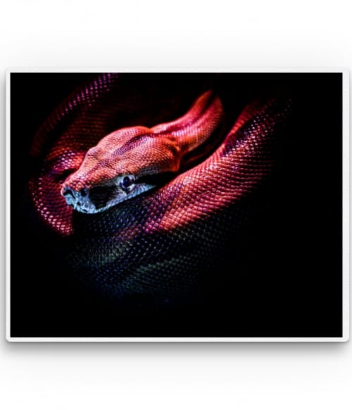 Red snake Hüllők Vászonkép - Hüllők