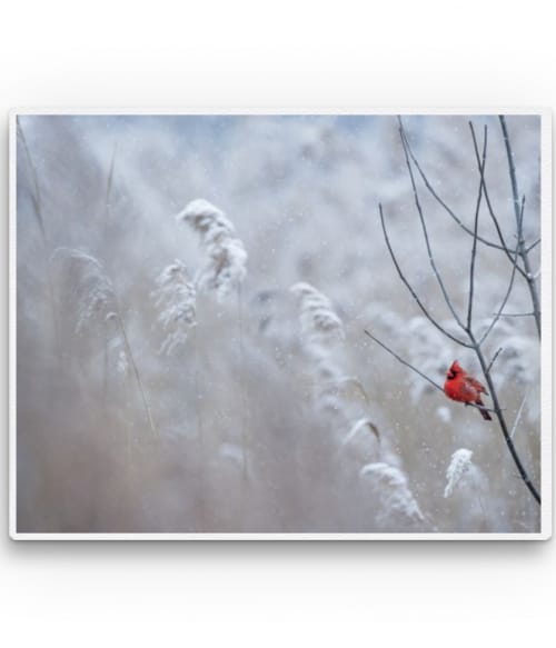 Red bird in the snow Madarak Pólók, Pulóverek, Bögrék - Madarak