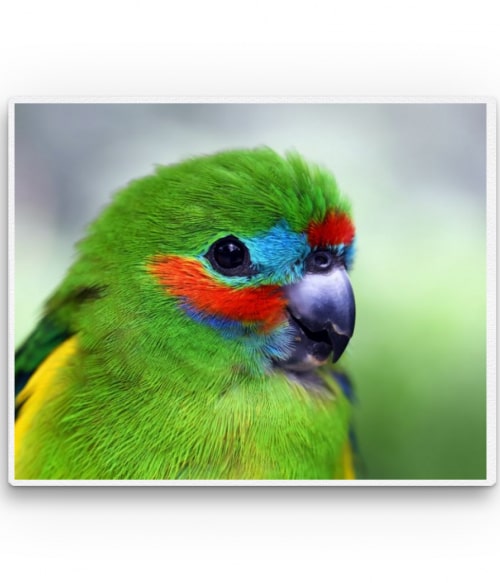 Green parrot Madarak Pólók, Pulóverek, Bögrék - Madarak