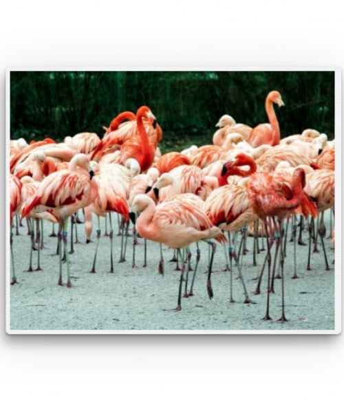 Flamingo panorama Madarak Pólók, Pulóverek, Bögrék - Madarak