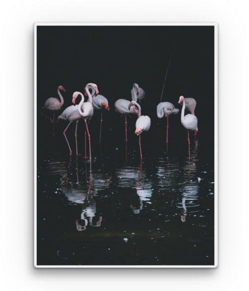 Flamingos in the dark Madarak Vászonkép - Madarak