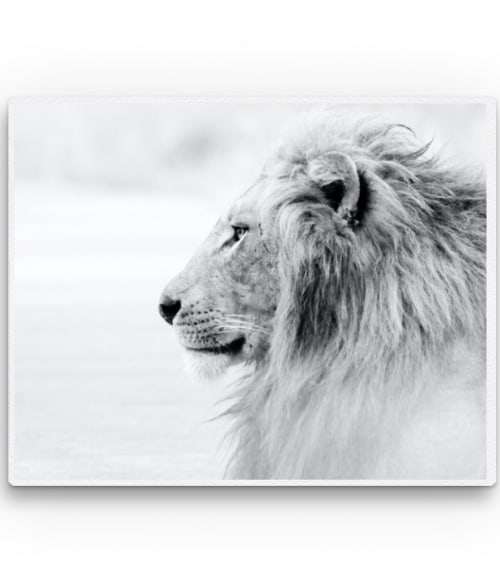 White lion Oroszlános Vászonkép - Oroszlános