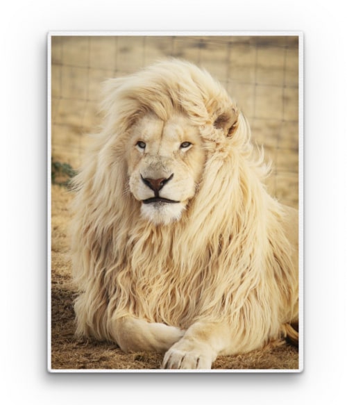 White lion 2. Oroszlános Pólók, Pulóverek, Bögrék - Oroszlános