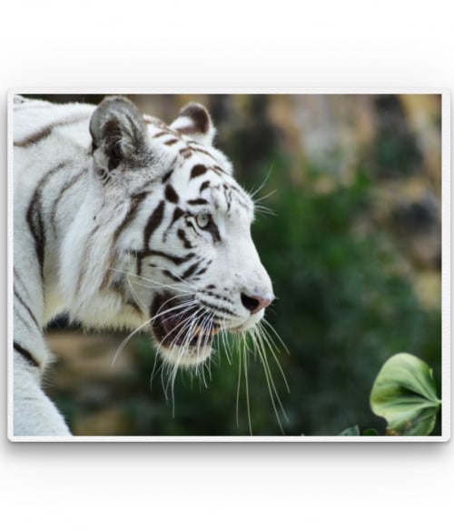 White tiger Tigrises Pólók, Pulóverek, Bögrék - Tigrises