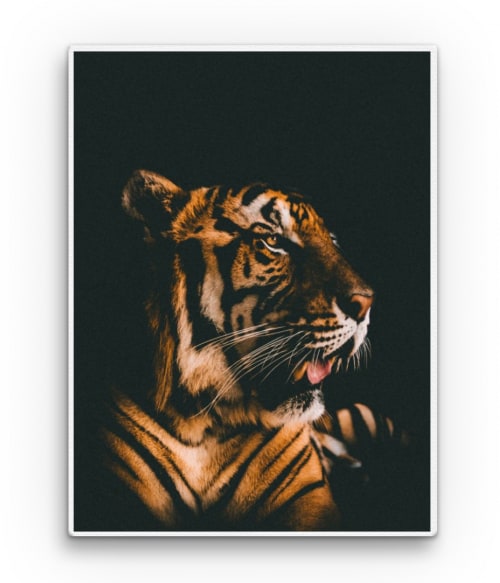 Tiger in the dark Tigrises Vászonkép - Tigrises