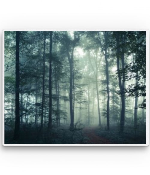 Forest and fog Utazás Vászonkép - Utazás