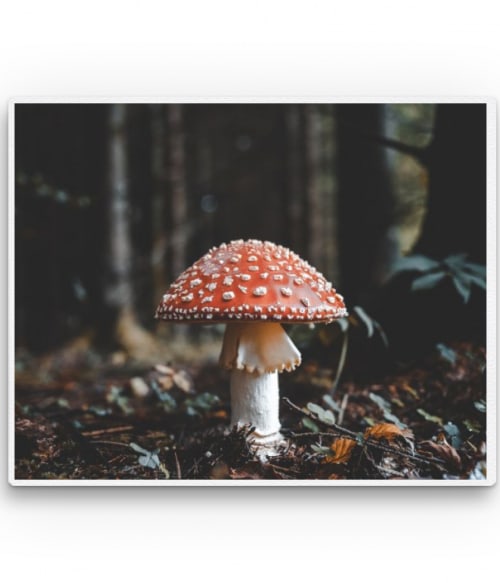 Red mushroom Stílus Vászonkép - Virágos
