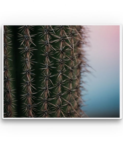 Cactus Virágos Pólók, Pulóverek, Bögrék - Virágos
