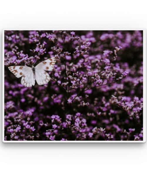 Butterfly in purple Virágos Vászonkép - Virágos