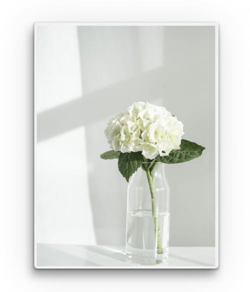 White Hortensia 2. Virágos Vászonkép - Virágos