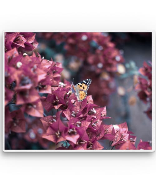 Butterfly in pink Virágos Vászonkép - Virágos