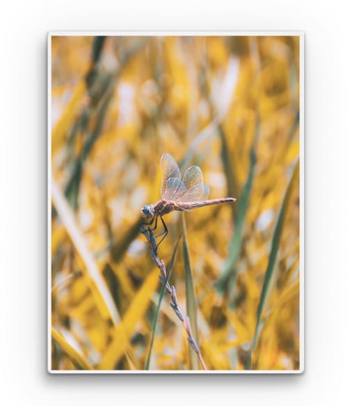 Dragonfly Stílus Vászonkép - Virágos