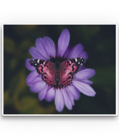 Pink butterfly Stílus Vászonkép - Virágos