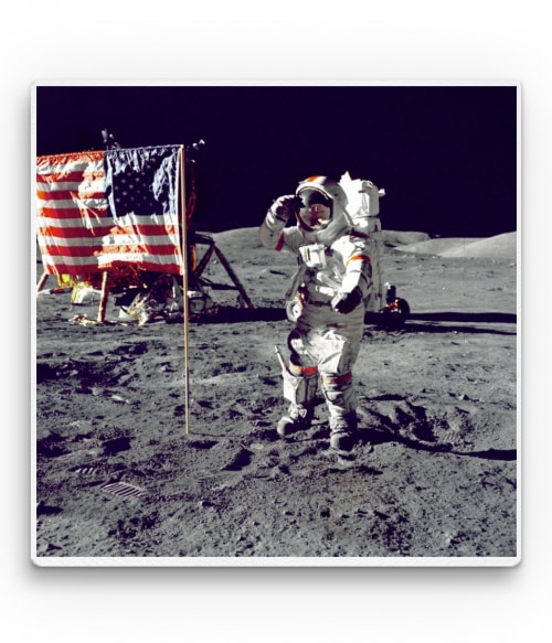Usa - astronaut Tudomány Vászonkép - Tudomány