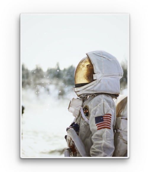 Usa - astronaut 2. Csillagászat Vászonkép - Tudomány