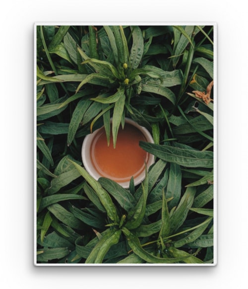 Green tea Tea Vászonkép - Tea
