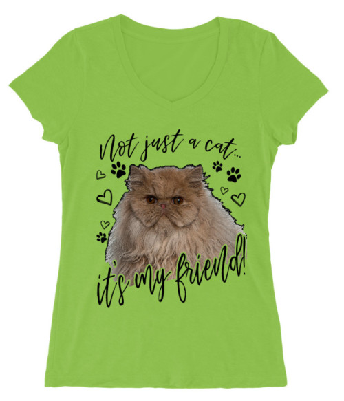 Best truckin' dad ever Póló - Ha Truck Driver rajongó ezeket a pólókat tuti imádni fogod!