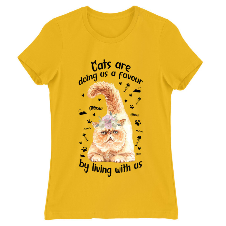 Cat Kindness - Persian