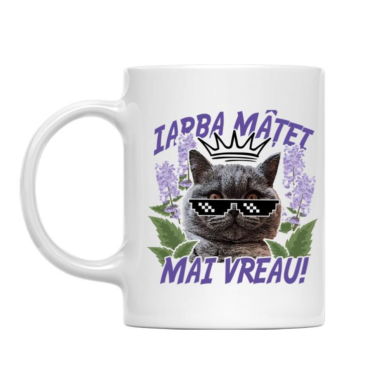 Iarba mâței - British Shorthair