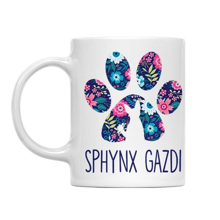 Sphynx Gazdi