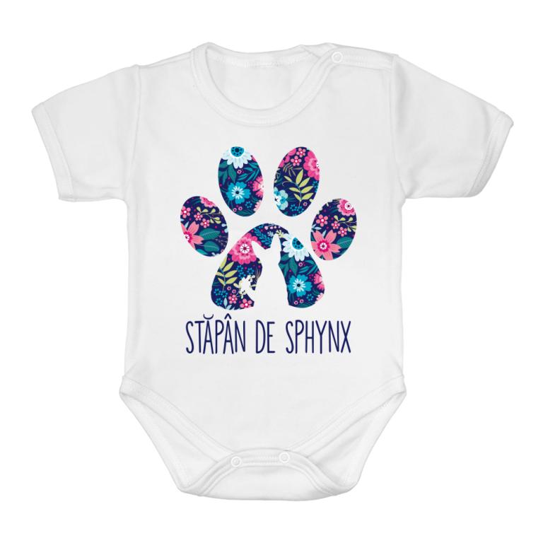 Stăpân de Sphynx