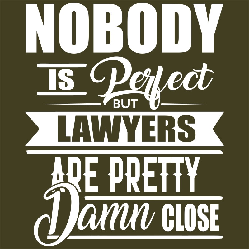 Nobody is Perfect - Lawyer