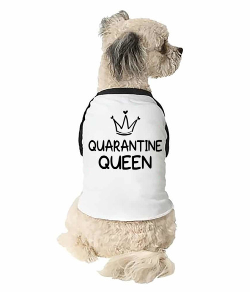 Quarantine Queen Karantén Állatoknak - Poénos