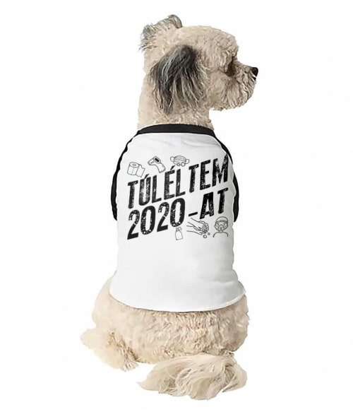 Túléltem 2020-at Karantén Állatoknak - Poénos