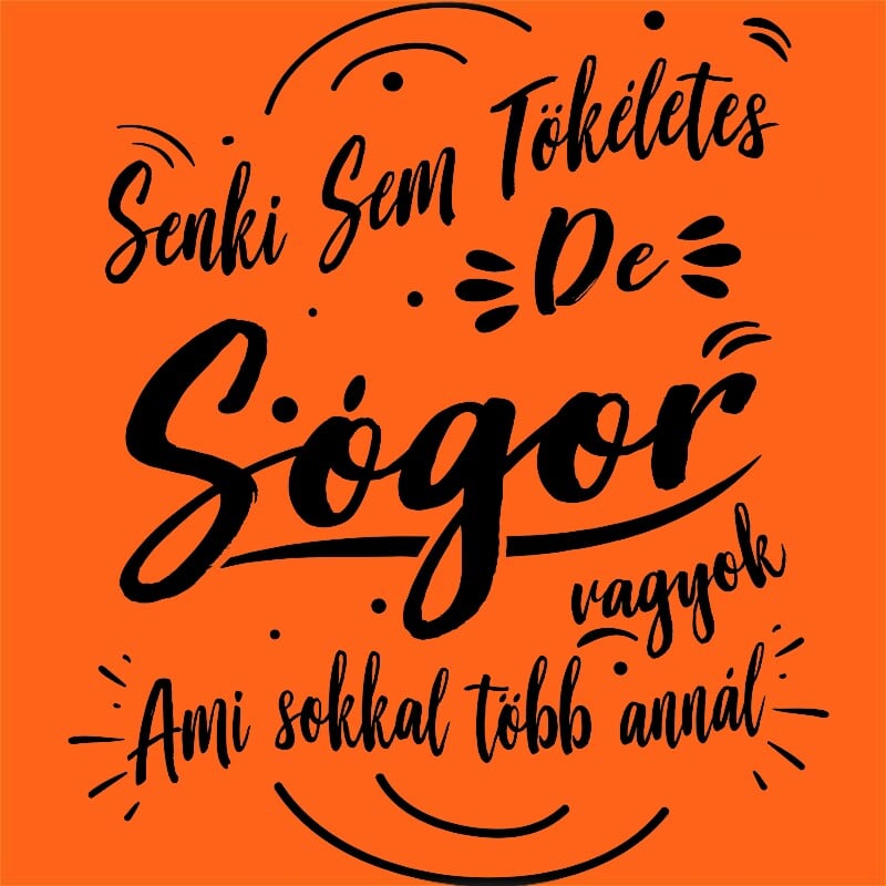 Senki sem Tökéletes de Sógor vagyok