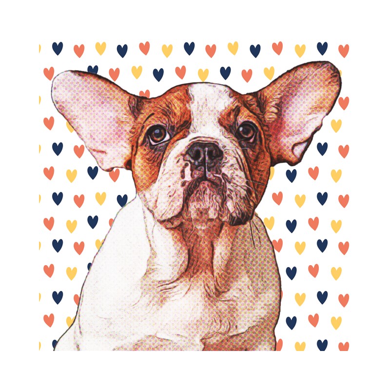 Pet with pattern - MyLife Plus