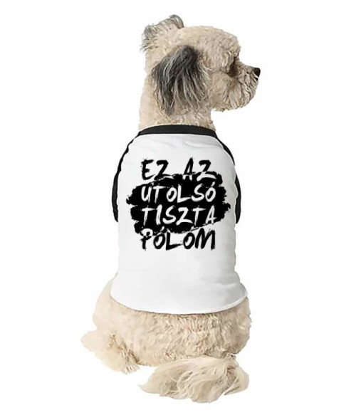 Ez az utolsó tiszta pólóm Vicces szöveges Állatoknak - Vicces szöveges