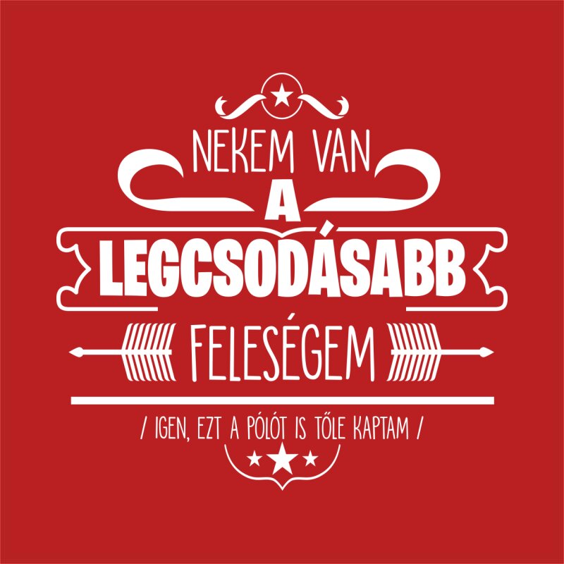 Nekem van a legcsodásabb feleségem