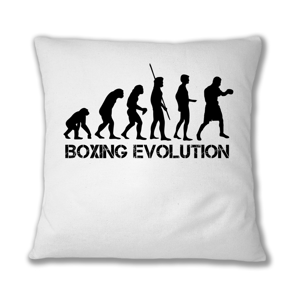 Boxing evolution Párnahuzat