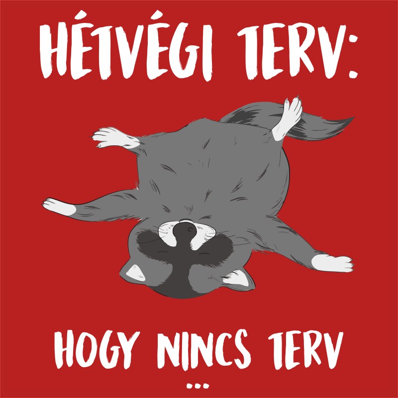 Hétvégi Terv - Mosómedve