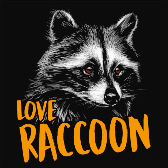Love Raccoon Mosómedve Pólók, Pulóverek, Bögrék - Mosómedve