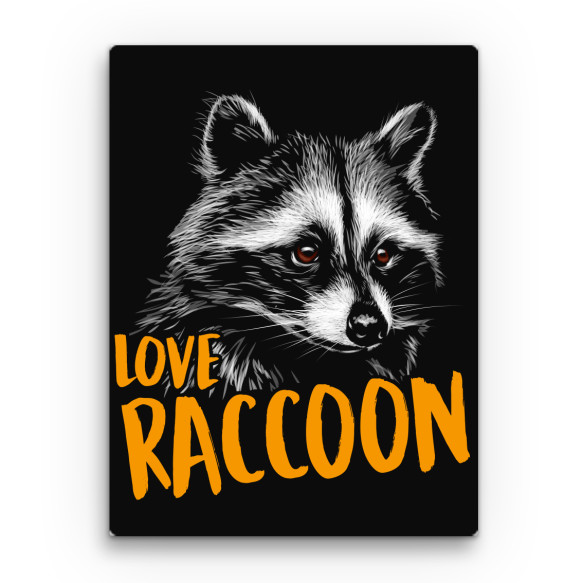 Love Raccoon Mosómedve Vászonkép - Mosómedve